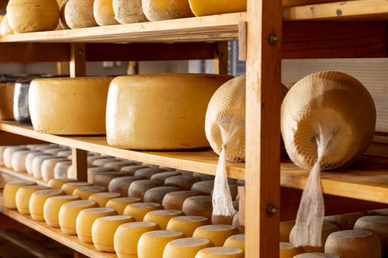 Feria del queso