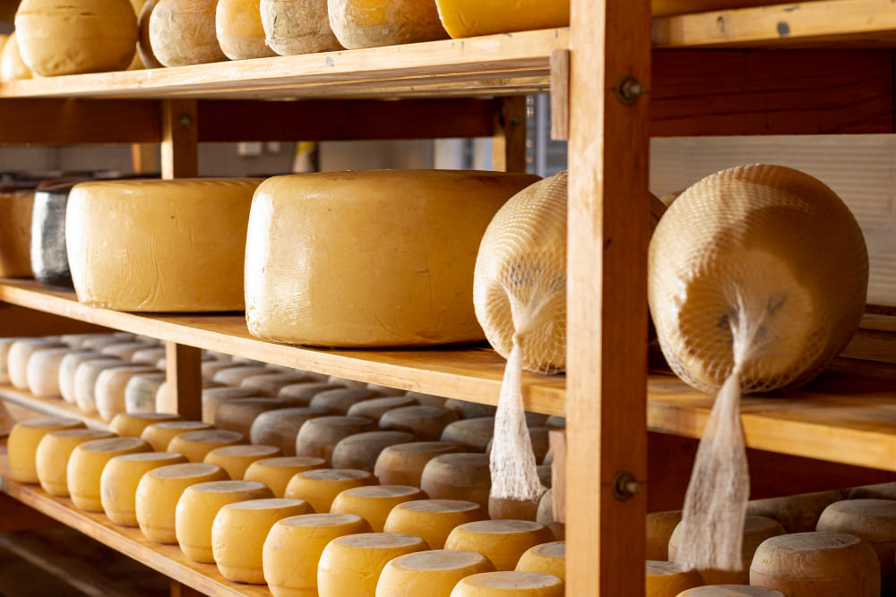 La Feria del Queso de Albacete es una oportunidad única para sumergirte en el mundo del queso.