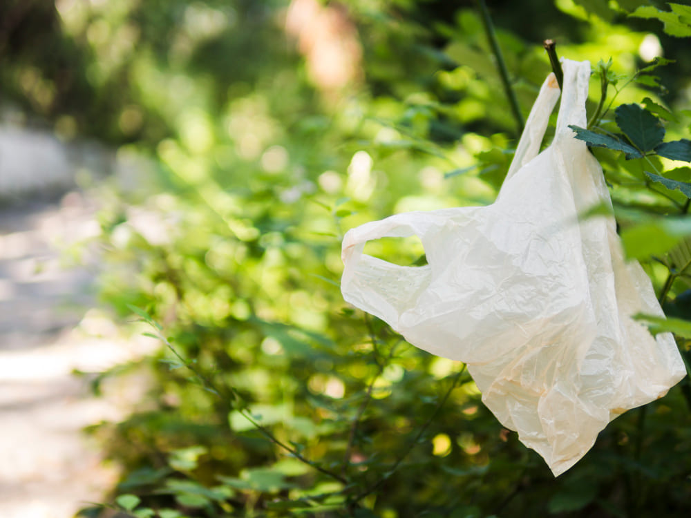Las empresas dedicadas a la fabricación de bolsas de plástico se pasan a los bioplásticos